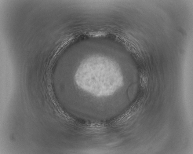 X0000115511393200911201629