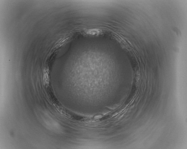 X0000115511394200911201629