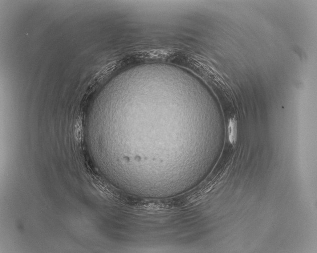 X0000115511395200911201629