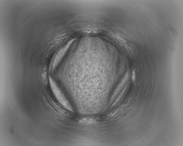 X0000115511396200911201629