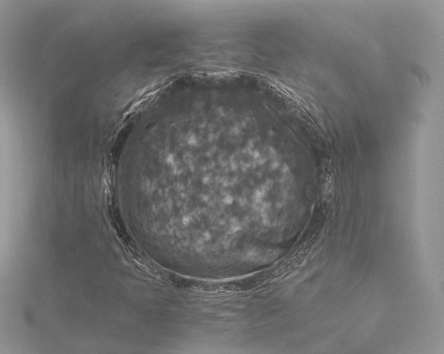 X0000115511397200911201629