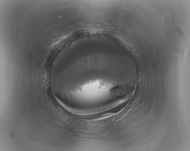 X0000115511398200911201629