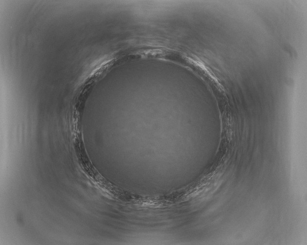 X0000115511399200911201629