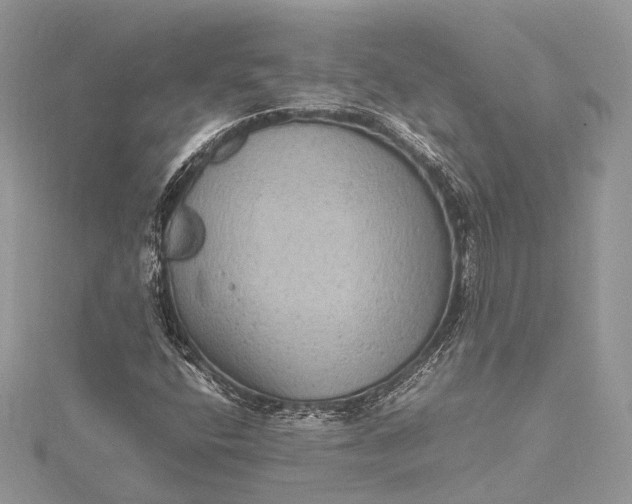 X0000115511400200911201629