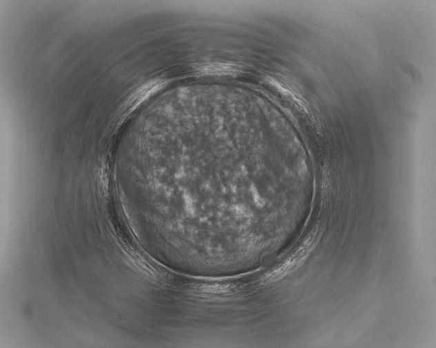 X0000115511401200911201629