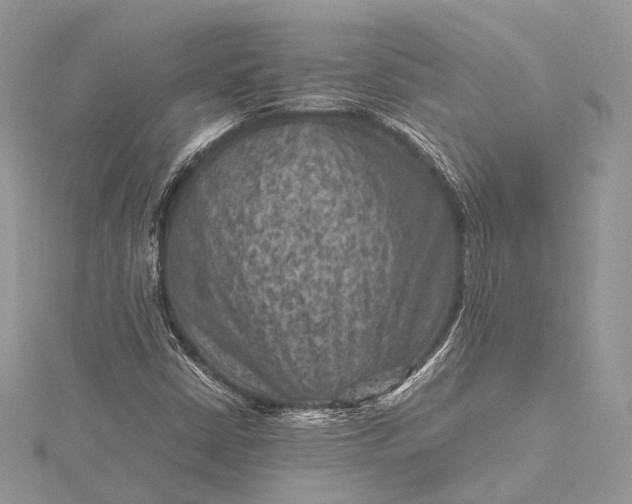 X0000115511402200911201629