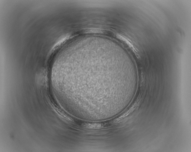 X0000115511403200911201629