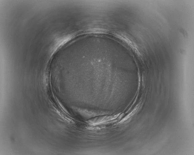 X0000115511405200911201629