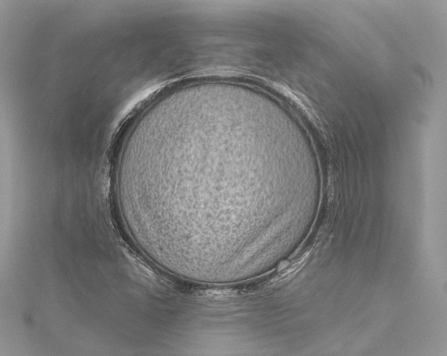 X0000115511406200911201629