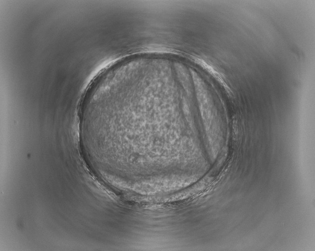 X0000115511408200911201629