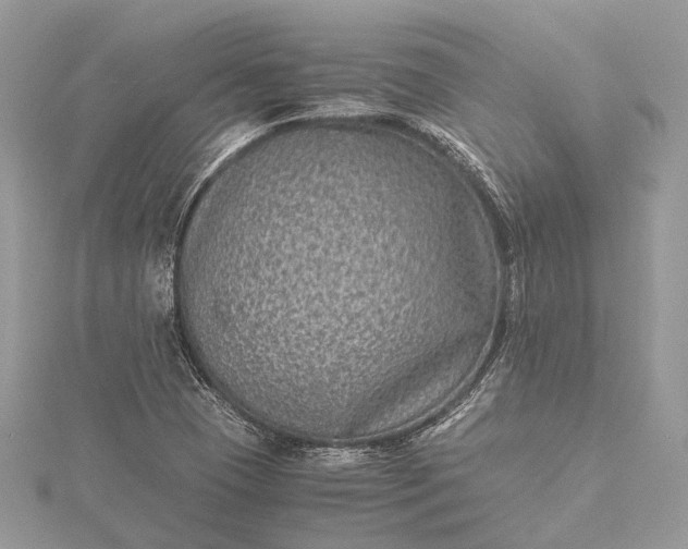 X0000115511409200911201630