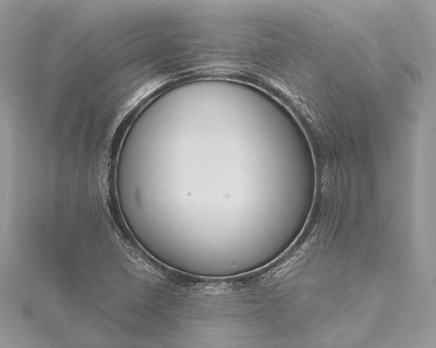 X0000115511410200911201630