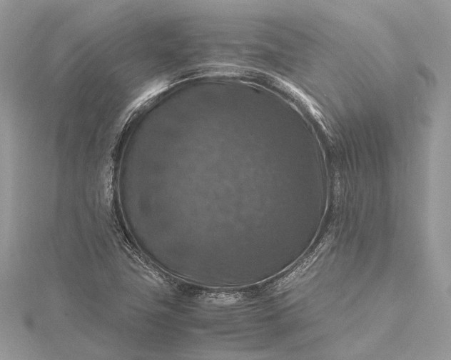 X0000115511411200911201630