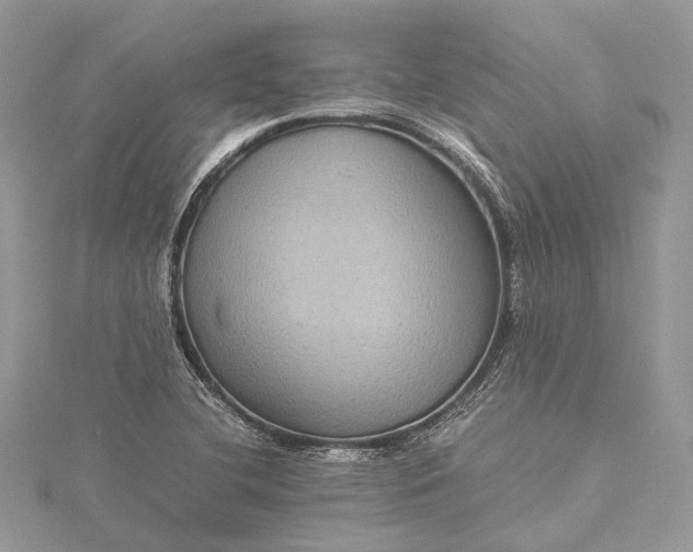 X0000115511412200911201630