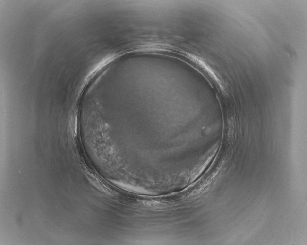 X0000115511413200911201630