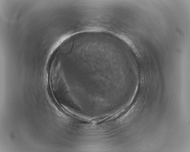 X0000115511414200911201630