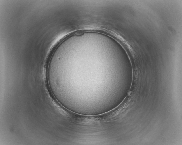 X0000115511416200911201630