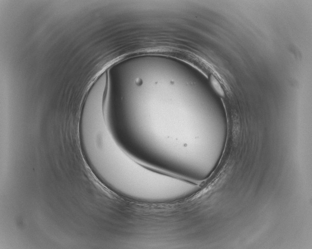 X0000115511417200911201630