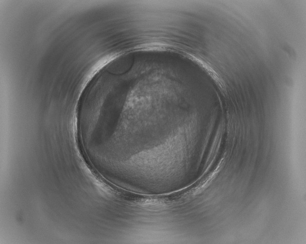 X0000115511418200911201630