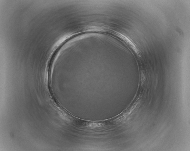 X0000115511419200911201630