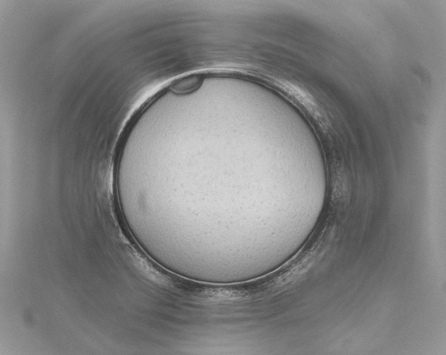 X0000115511420200911201630