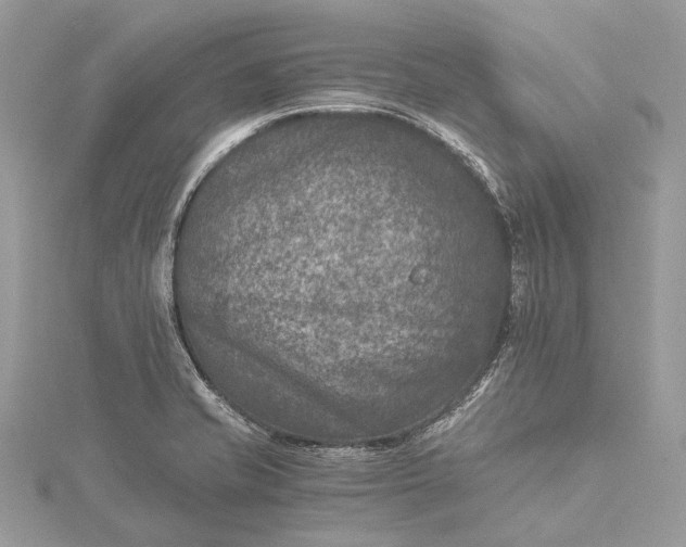 X0000115511421200911201630