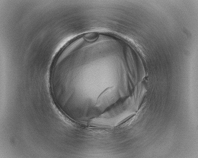 X0000115511422200911201630