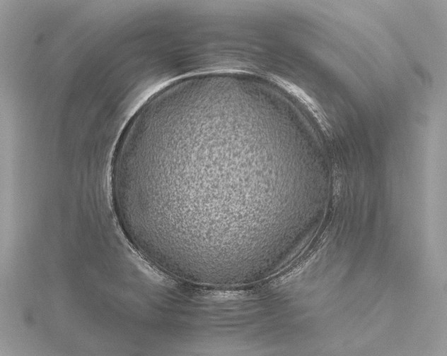 X0000115511423200911201630