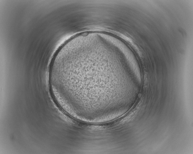 X0000115511424200911201630