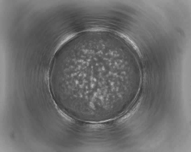 X0000115511425200911201630