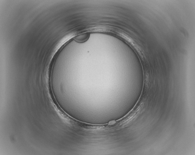 X0000115511426200911201630