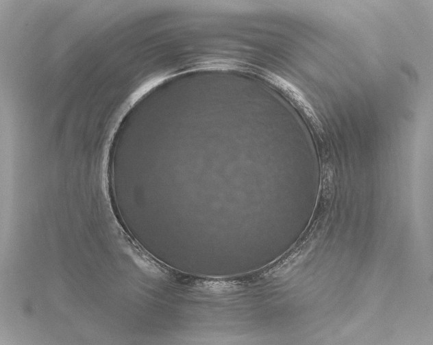 X0000115511427200911201630