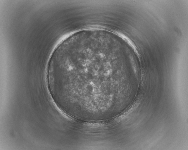 X0000115511429200911201630