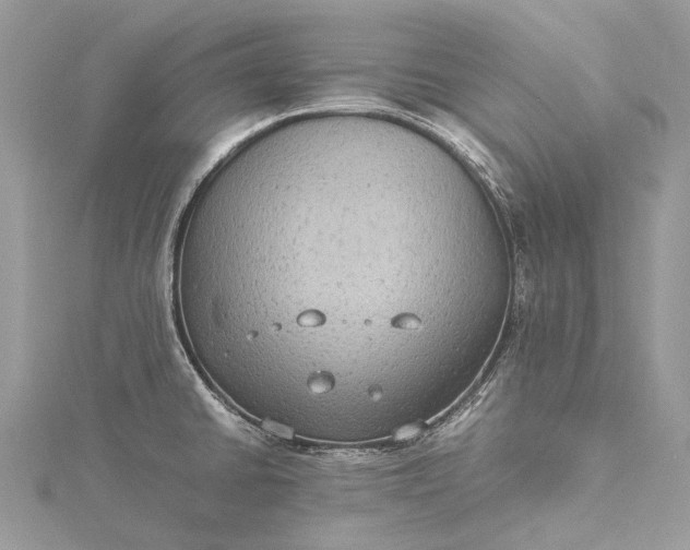 X0000115511430200911201630