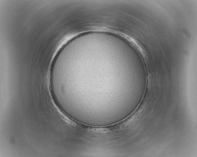 X0000115511432200911201630