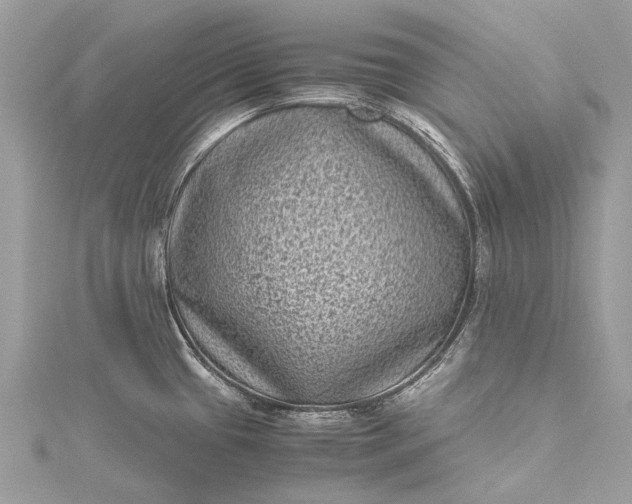 X0000115511433200911201630