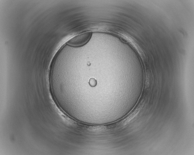 X0000115511434200911201630