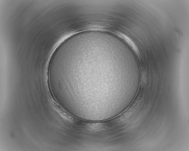 X0000115511435200911201630