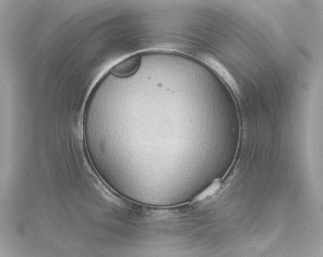 X0000115511436200911201630