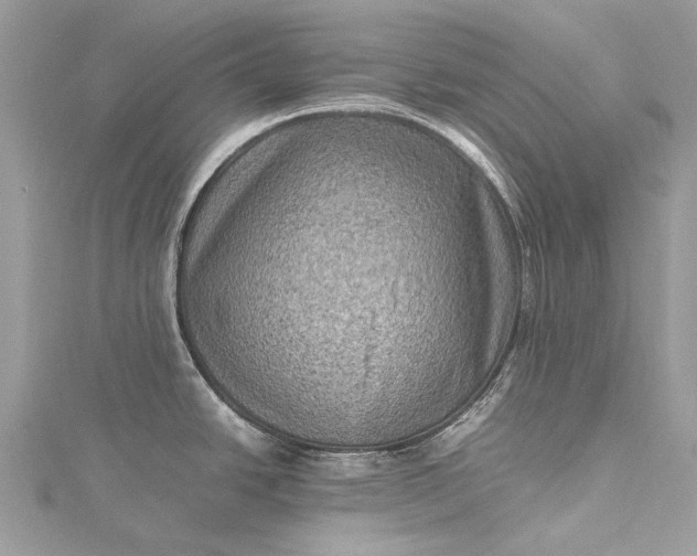 X0000115511438200911201630