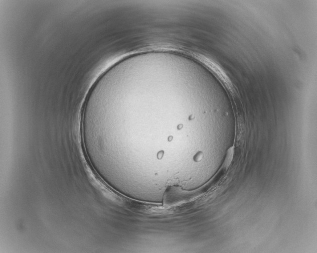 X0000115511439200911201630