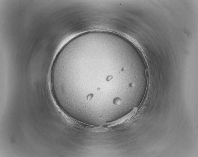 X0000115511440200911201630