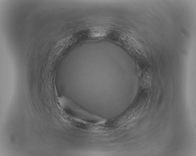 X0000115511441200911201629