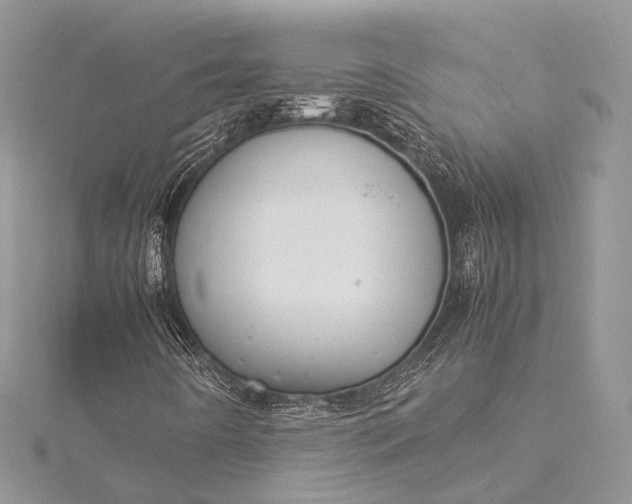 X0000115511442200911201629