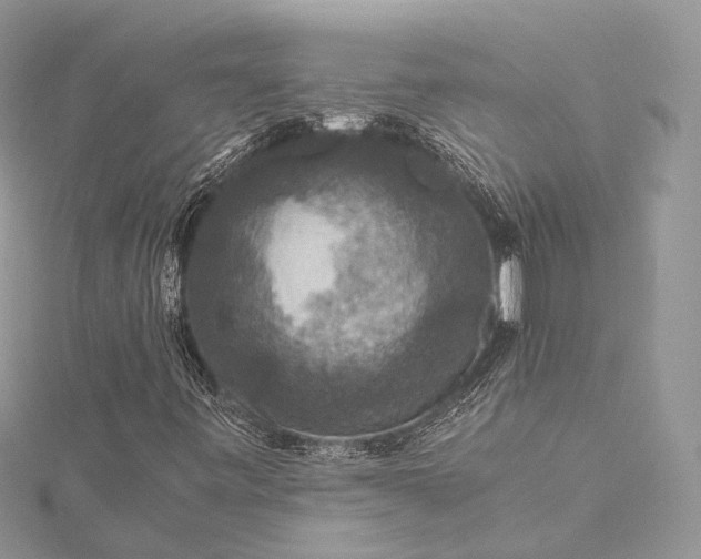 X0000115511443200911201629