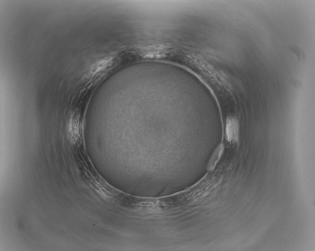 X0000115511444200911201629