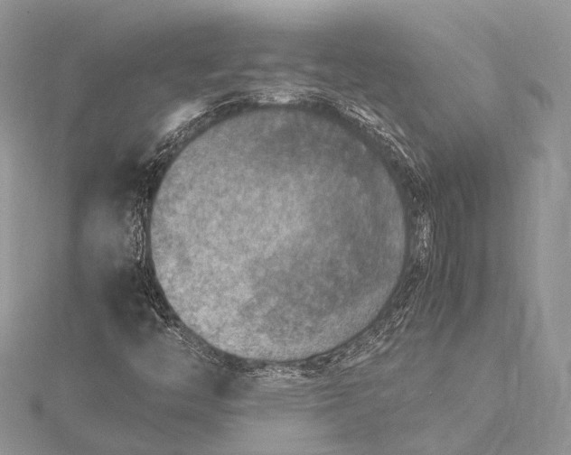 X0000115511446200911201629