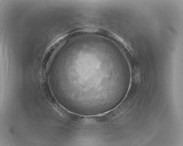 X0000115511448200911201629