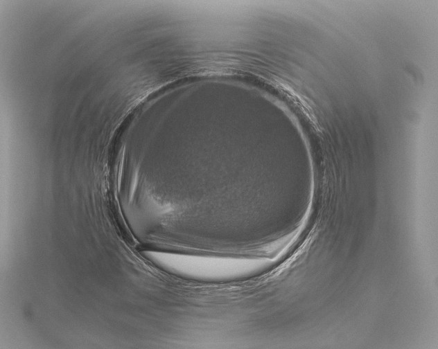 X0000115511449200911201629