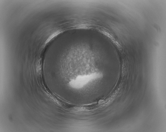 X0000115511450200911201629